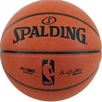74311E_Spalding NBA 3lb Weighted Trainer Official Size Basketball