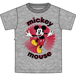 Youth Mickey Mouse Prism Tee, Gray