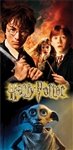 Beach Towel Harry Potter Revenge, 28x58 (No Namedrop)