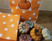 Halloween Mystery Sample Bundle