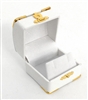 Earring Box White with Gold Corners/Clasp