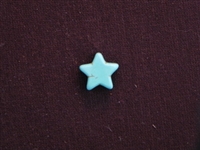 Star Turquoise Colored Howlite/Magnesite