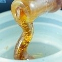 Honey Oil, by CSC 1ml syringe