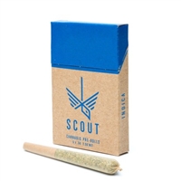 Scout 5 x 0.5g Pre-Filled Cones â€“ Indica, by  Diversified Medical Services