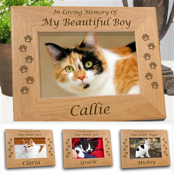 In Loving Memory Of Cat Frame