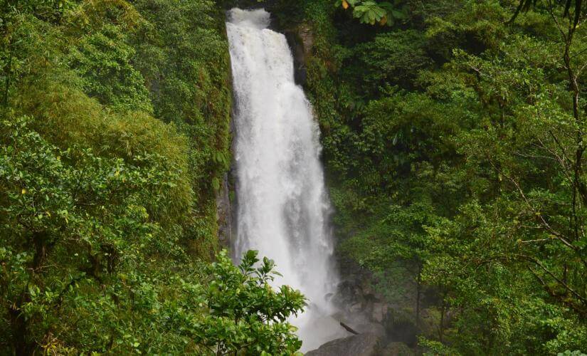 Jewels of Dominica