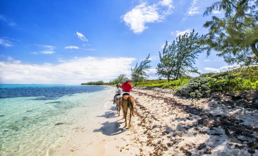 West Bay Private Horseback Ride Shore Excursion in Grand Cayman