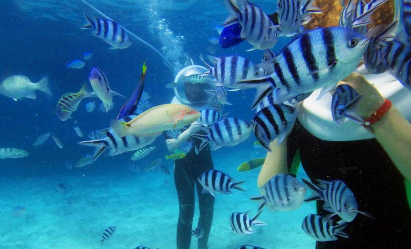 Sea Trek Underwater Helmet Diving in San Juan