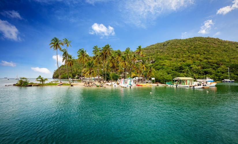 Roseau River St Lucia Kayaking Port Tour from Marigot Bay