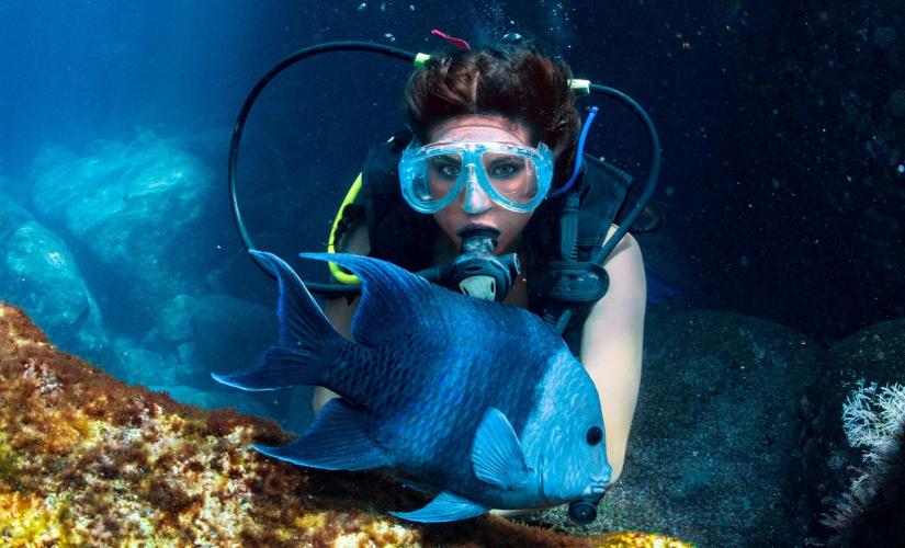 Small Group 2 Tank Certified Scuba Dive Day Tour in St. Maarten