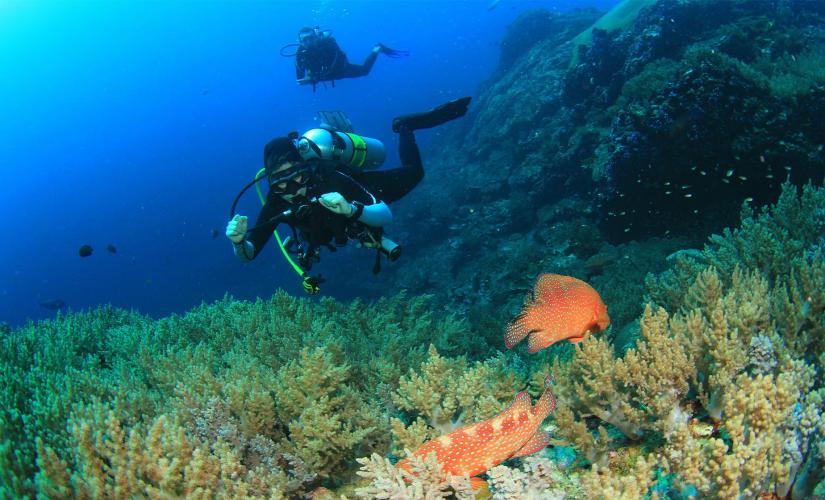 Discover Scuba Diving Introduction Tour in Acapulco (PADI)