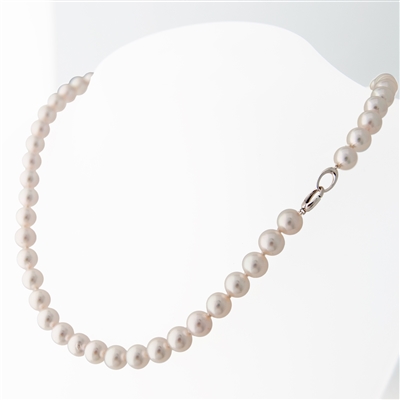 Statement Akoya Cultured Pearls, Versa Clasp, 18k gold