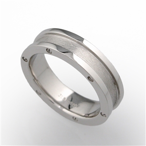 Screw Head Men's Wedding Band ~ silver