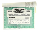 Blank Stock Certificate Book