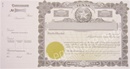 Goes® Texas Stock Certificates