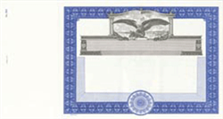 Goes® Blank Eagle Stock Certificates, Choice of Border Colors