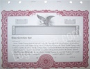 Goes® Corporate Stock Certificates KG9LLC