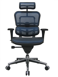 Modern Ergohuman Mesh Back Office Chair ME7ERG by Eurotech