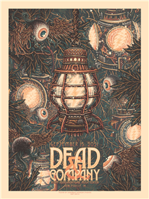 Dead & Company Concert Poster by Luke Martin