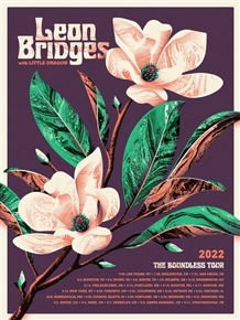 Leon Bridges Concert Poster by DKNG