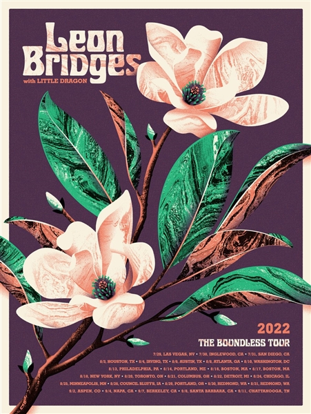Leon Bridges Concert Poster by DKNG