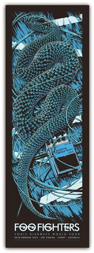 Foo Fighters Concert Poster by Ken Taylor