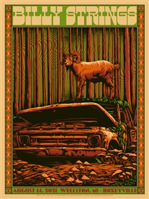 Billy Strings Concert Poster by Simon Berndt