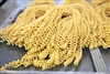 Pastosa Fusilli