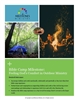 Bible Camp Milestone Module Download