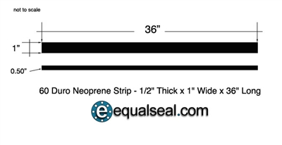 Neoprene 60 Durometer - 1/2" Thick x 1" x 36"