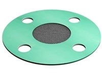 Strainer Gasket - BG 3000 , 3" Pipe Size, Full Face Style - 300 Lb.  , 80 SS Mesh