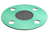 Strainer Gasket - FGSS , 4" Pipe Size, Full Face Style - 300 Lb.  , 80 SS Mesh