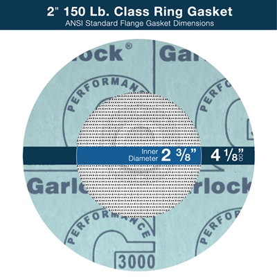 Gasket Strainer - 2" Ring - 150 Lb. Class