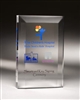 Rectangle Clear Acrylic Award 10"