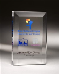 Rectangle Clear Acrylic Award 10"