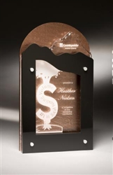 Investment Series Hammered Copper Acrylic Award