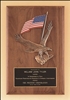 Walnut Plaque with American Flag and Eagle Casting 14" x 20"