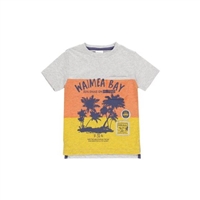 MMD KIDS T-SHIRT PALM GREY