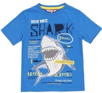 MMD KIDS T-SHIRT SHARK  BALTIC