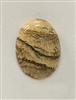 JO2-25--CABOCHON  20*15*6