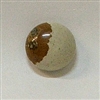 JO7-02 PICTURE STONE 16mm ROUND CABOCHON