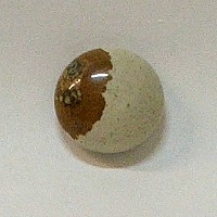 JO7-02 PICTURE STONE 16mm ROUND CABOCHON