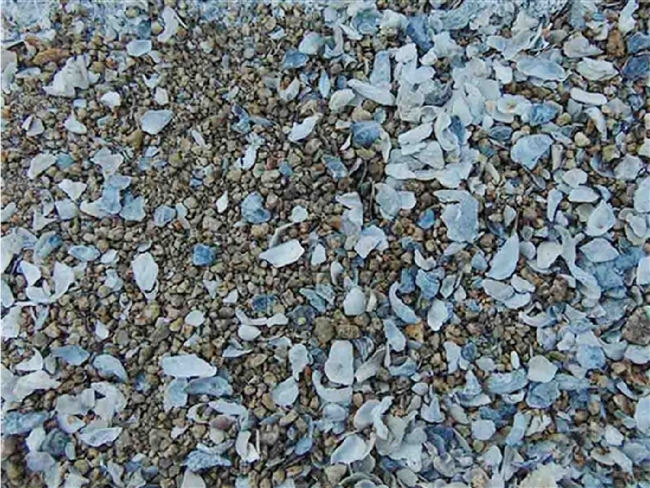 Rain Country Gold Decomposed Granite & Oyster Shell Blend Sample