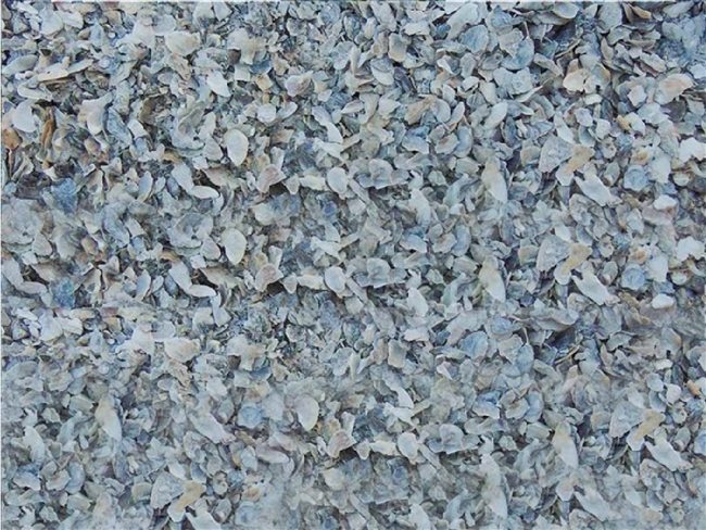 Oyster Shell Sample Cost