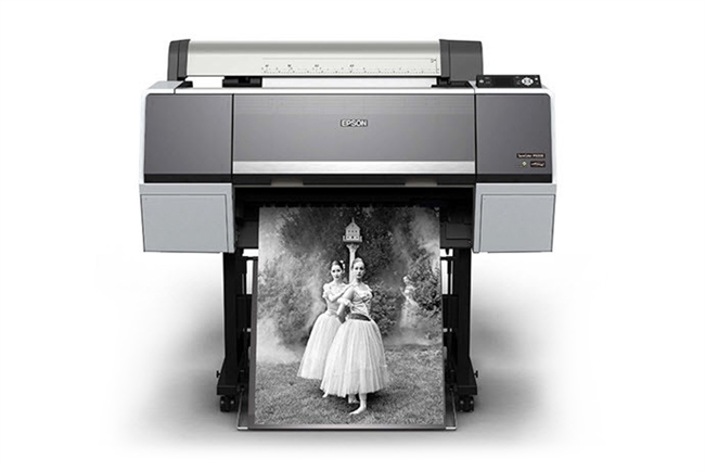 Epson P6000