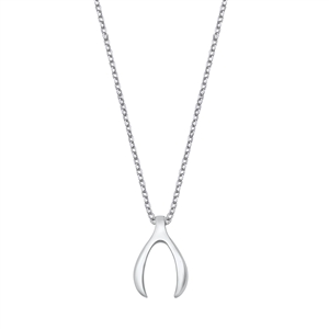 Silver Necklace - Wishbone