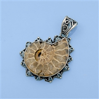 Silver Pendant - Shell Fossil