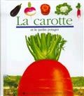 La carotte et le jardin potager