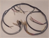 Main Wire Harness<br>308-82590-20-00
