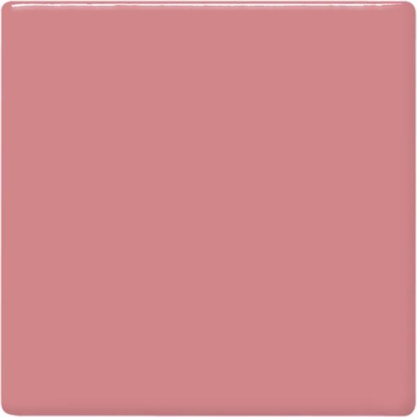 Amaco Teachers Palette TP-53 Pig Pink Pint